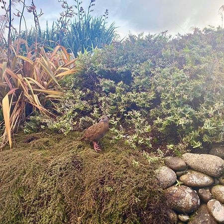 Wild Weka Eco Stay - Off-Grid 4Wd Recommended Waimarie Dış mekan fotoğraf